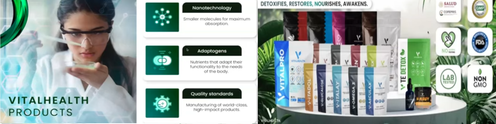 VitalHealth Global Products - Nanotechnology
